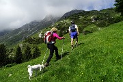 Da Cacciamali di Ardesio anello del Monte Secco, salito per creste, disceso da oltre Cima Vaccaro ( il 28 maggio 2015) - FOTOGALLERY